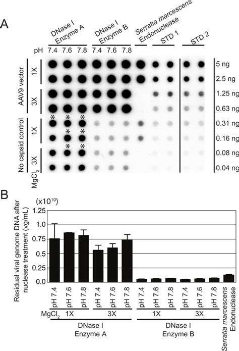 A Quantitative Dot Blot Assay For Aav Titration And Its Use For