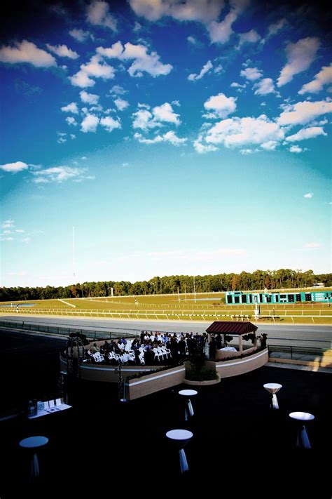 Tampa Bay Downs in Tampa | VISIT FLORIDA