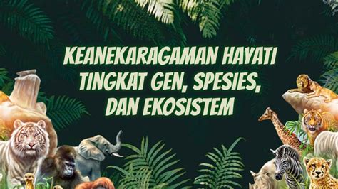 Genetic diversity (keanekaragaman gen) adalah jumlah total dari variasi atau jumlah perbedaan keanekaragaman dalam satu spesies inilah yang kita sebut sebagai keanekaragaman tingkat gen. Keanekaragaman Hayati Tingkat Gen, Spesies, dan Ekosistem ...