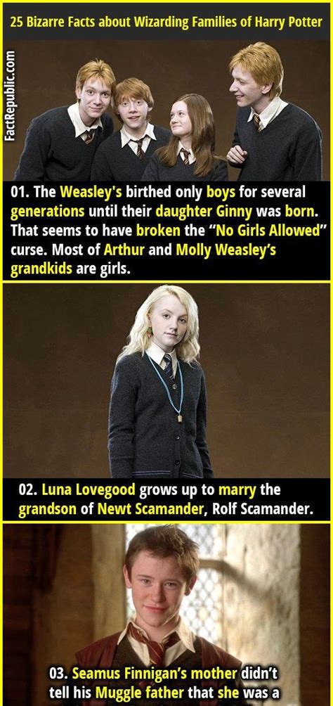 25 Bizarre Facts About Wizarding Families Of Harry Potter Universe