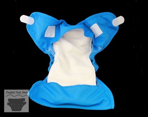 Imagine All In Two Cloth Diaper Review Padded Tush Stats