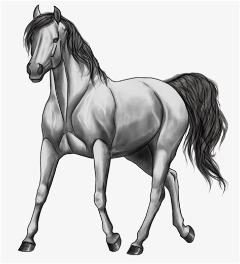 O Cavalo Cavalo Preto E Branco Desenhos Animados Png Um Cavalo Imagens Vetoriais Arquivos