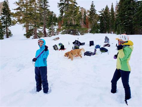 Snow Travel Courses In Full Swing Sierra Mountaineering International
