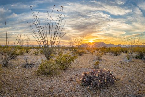 Chihuahuan Desert Sunset - T. Kahler Photography