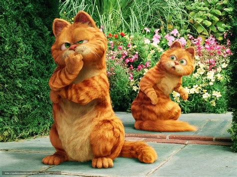 Download Wallpaper Garfield 2 Tail Of Two Kitties Garfield A Tail Of