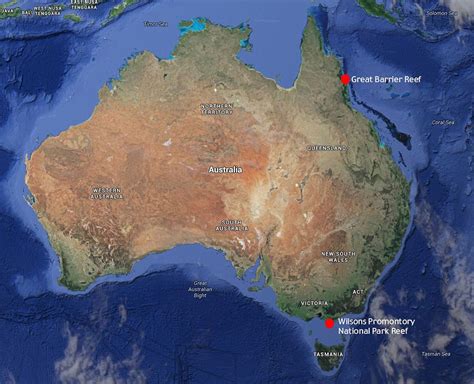 Great barrier reef tours leave from hubs like cairns and townsville. Scientists discover a bigger version of the Great Barrier ...