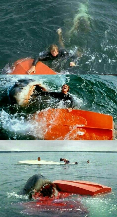 We did not find results for: Pin by Minoru 10 on My Likes ! in 2020 | Great white shark ...