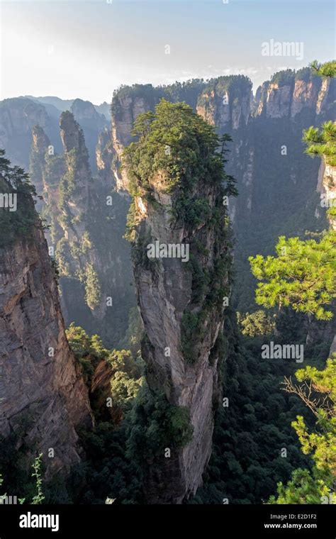 China Hunan Province Zhangjiajie Wulingyuan Scenic Area Zhangjiajie