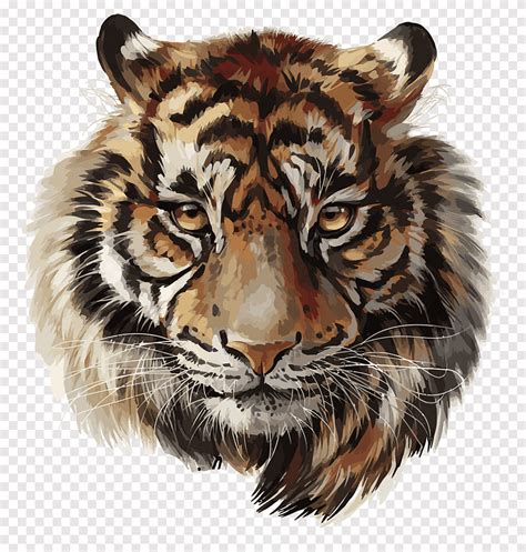 Introduzir Imagem Desenhos De Tigre Realista Br Thptnganamst Edu Vn