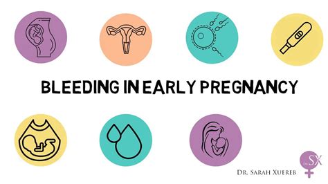 Spotting during pregnancy is quite common and below, i will tell you so about why it happens, when it happens, and if it is really dangerous. Bleeding in Early Pregnancy - YouTube