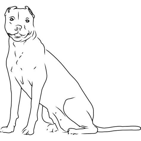 American Pitbull Terrier Cane Disegno Vettoriale Abbozzato A Mano