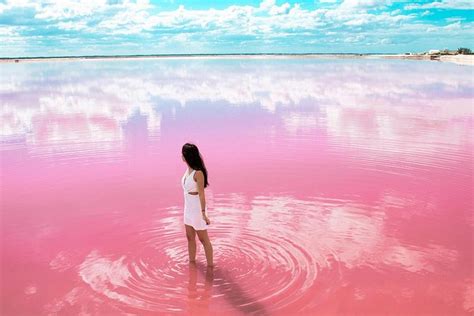 Discover Beyond Activity Coloradas Pink Lagoon Adventure