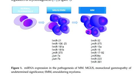 Mirna Expression In The Pathogenesis Of Mm Mgus Monoclonal Gammopathy