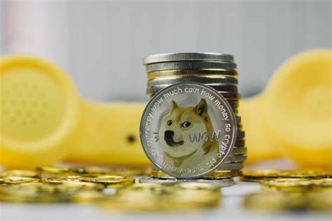 +6 02.08 도지코인(doge), 일론 머스크와 스눕독 등의 언급으로 구글 검색량에서 비트코인 능가. 비트코인 급등세에 도지코인도 급등