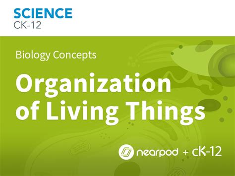 Organization Of Living Things