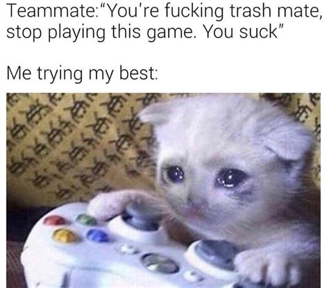Press F To Pay Your Respects Sad Gaming Cat Cat On Xbox Know Your