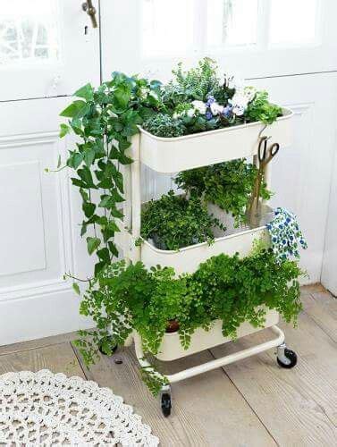Ikea fintorp vertical garden idea could use outside as well as. 40 DIY Vertical Herb Garden Ideas to Have Fresh Herbs on Hand