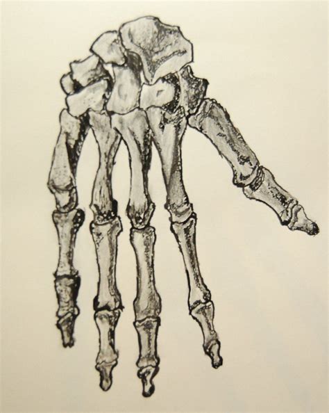 Cool Skeleton Hand Drawings Saara Notes