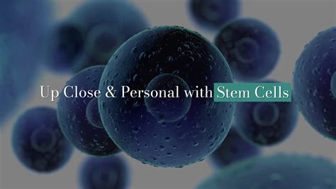Video Up Close And Personal With Stem Cells Danai Medi Wellness