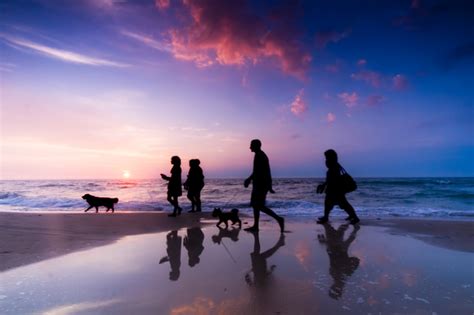 People Walking On The Beach Stock Photo Free Download