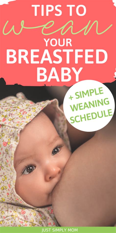 How To Wean A Breastfed Baby Tips And A Weaning Schedule Just