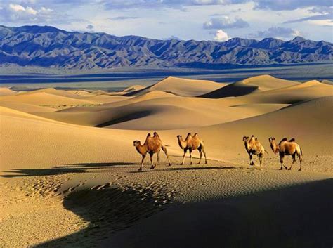 11 Most Famous Deserts Spread Across The World Triphobo Travel Blog