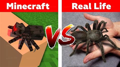 Funny real life animation vs reality minecraft. MINECRAFT SPIDER IN REAL LIFE! Minecraft vs Real Life ...