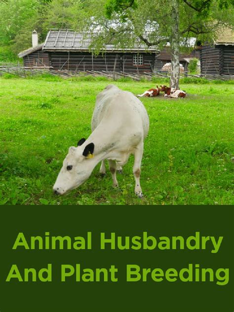 Download Animal Husbandry And Plant Breeding Pdf Online 2020