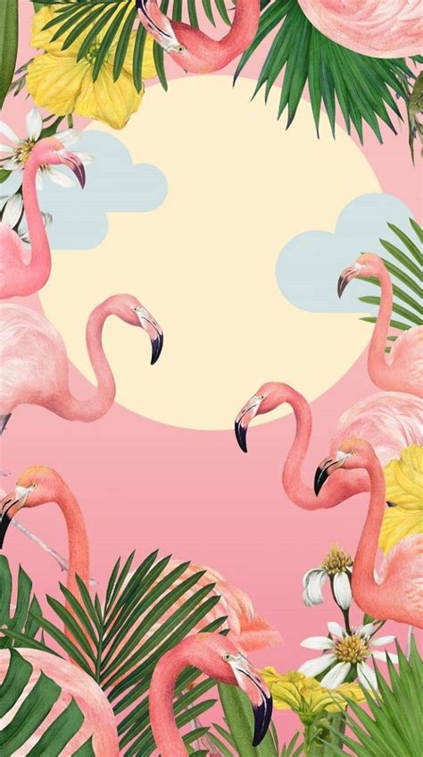 Flamingo Wallpaper Kolpaper Awesome Free Hd Wallpapers