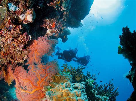 9 Epic Underwater Adventures Around The World