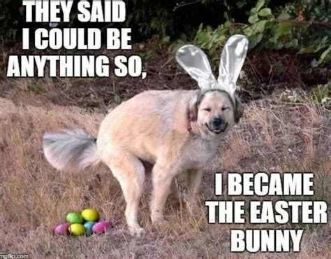 Easter Memes For Facebook Funny Memes