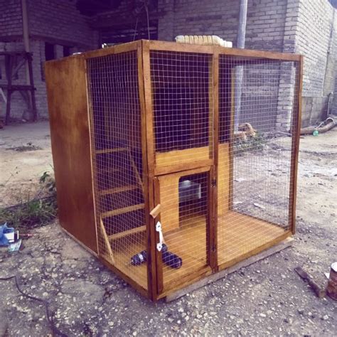 Berikut adalah beberapa cara membuat kucing naluri berburu kucing ini tidak hilang, sesekali upayakan mereka bisa mendapatkan hasrat ini di dalam rumah dengan cara sedemikian rupa. Rumah kucing custom kayu atau besi | Shopee Malaysia