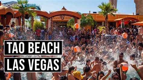 🌊 Tao Beach Pool Party Las Vegas Youtube