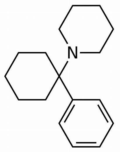 Phencyclidine Pcp Structure Svg Wikipedia Drug Commons