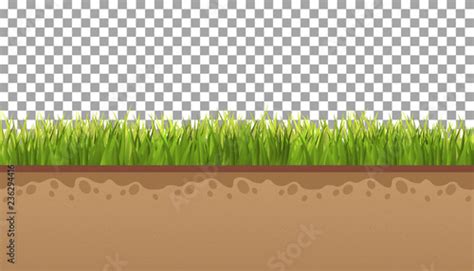 Ground With Green Grass On A Transparent Background Vector