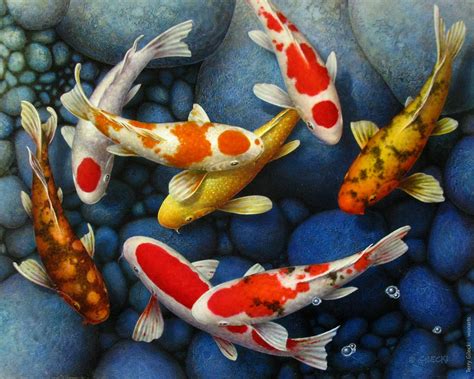 72 Koi Fish Paintings By Canadian Artist Terry Gilecki