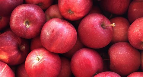 Fall Apples Downtown Yakima Farmers Market
