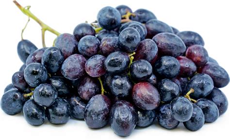 Black Seedless Grapes Information Recipes And Facts