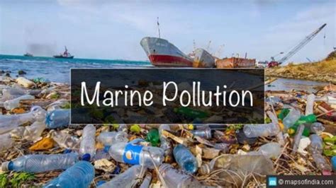 Marine Pollution Revised Ed