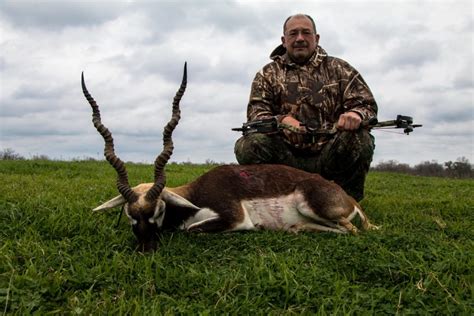 Blackbuck Antelope Hunting - Double Arrow Bow Hunting