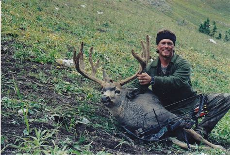 Young mule deer buck odocoileus hemionus with velvet antlers in the wild of boreal forest taiga of the yukon. Restoring Velvet on Big Mule Deer - Rokslide