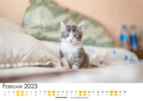 Kalender Februari 2023 Sverige Med Veckonummer