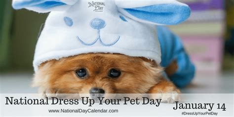 National Dress Up Your Pet Day January 14 Pet Day National Day