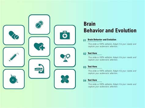 Brain Behavior And Evolution Ppt Powerpoint Presentation Gallery