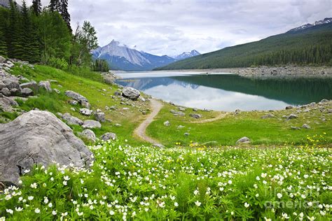 Mountain Lake In Jasper National Park Canada By Elena Elisseeva