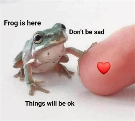 This Is What I Want You To Know Rwholesomememes Wholesome Memes