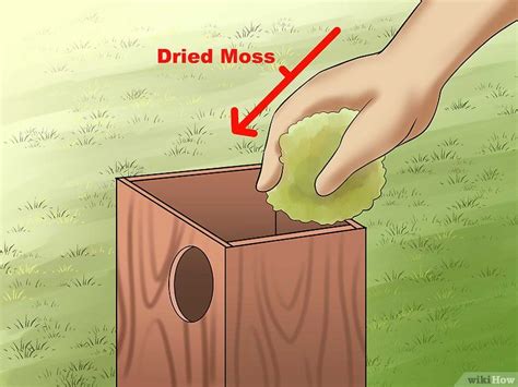 How To Build A Squirrel House 14 Steps With Pictures Nesting Boxes