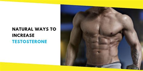 Natural Ways To Increase Testosterone Levels In Males