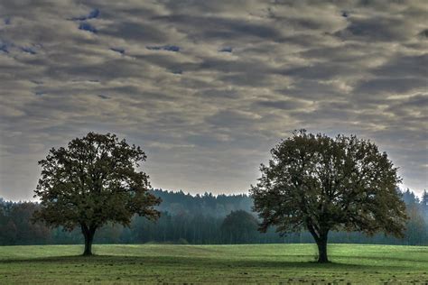 Wenn das auf deinen keller oder dachboden zutrifft, ist er für diesen zweck geeignet. Bereit machen für den Winterschlaf. Foto & Bild | pflanzen ...