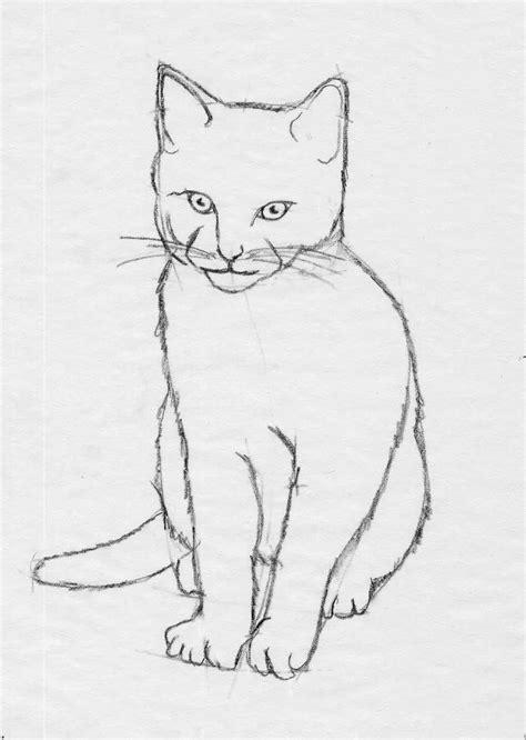 Cat Sketch Easy At Explore Collection Of Cat